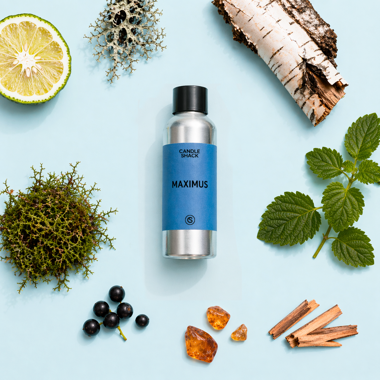 Maximus Fragrance Oil