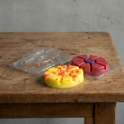 Muschelschale - Oval