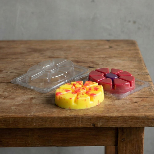 Muschelschale - Oval