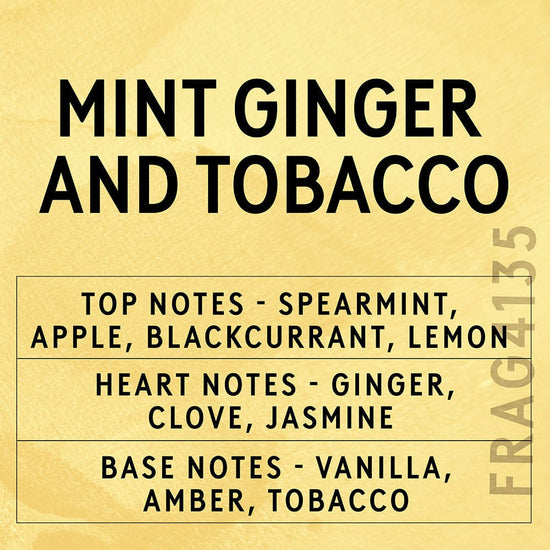 Candle Shack Fragrance Mint Ginger & Tobacco Fragrance Oil